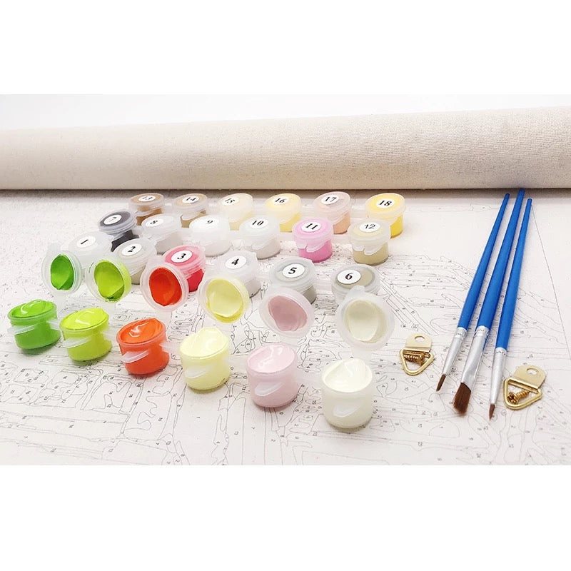 Custom Paint by numbers kit